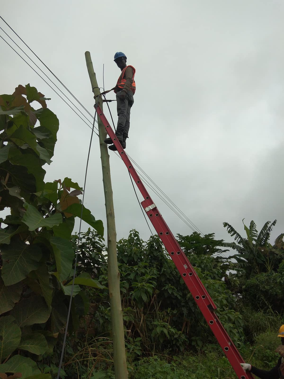 Technician on a ladder against a pole, working on overhead communications cable